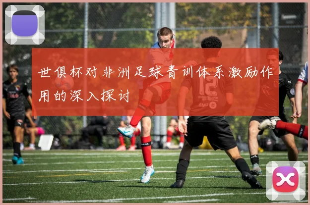 世俱杯对非洲足球青训体系激励作用的深入探讨