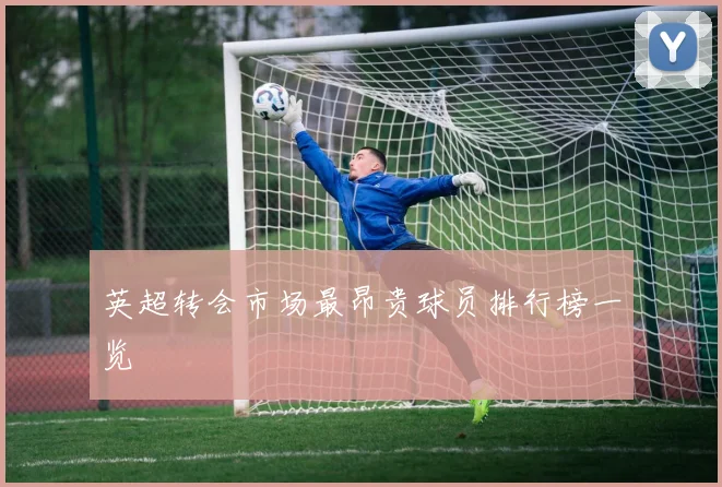 英超转会市场最昂贵球员排行榜一览