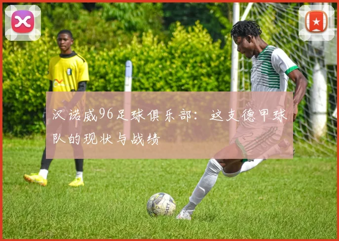 汉诺威96足球俱乐部：这支德甲球队的现状与战绩