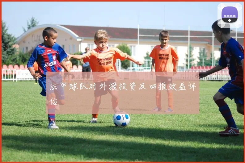 法甲球队对外援投资及回报效益评估