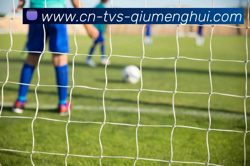 球盟会平台生态图